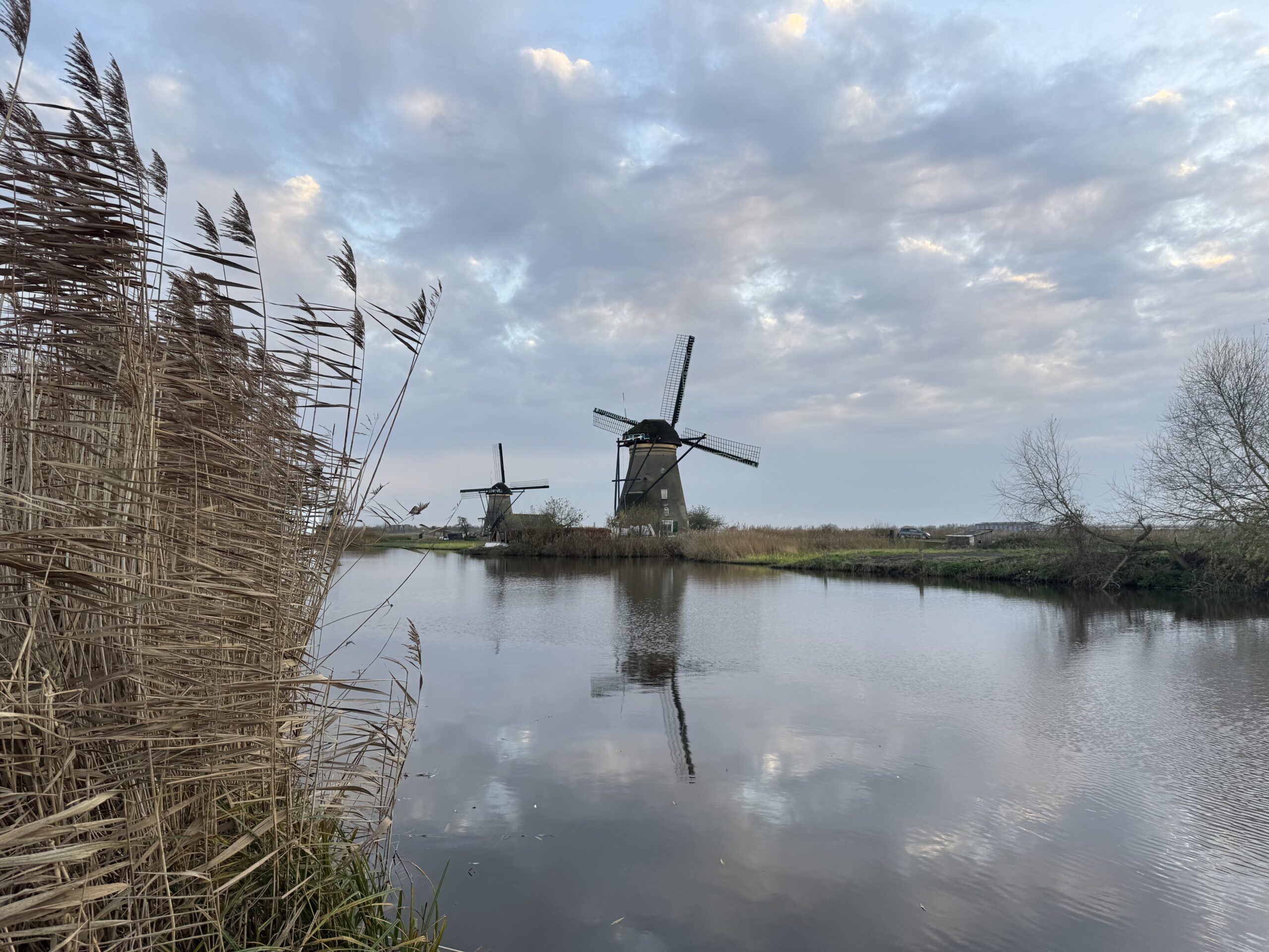 IMG_5550